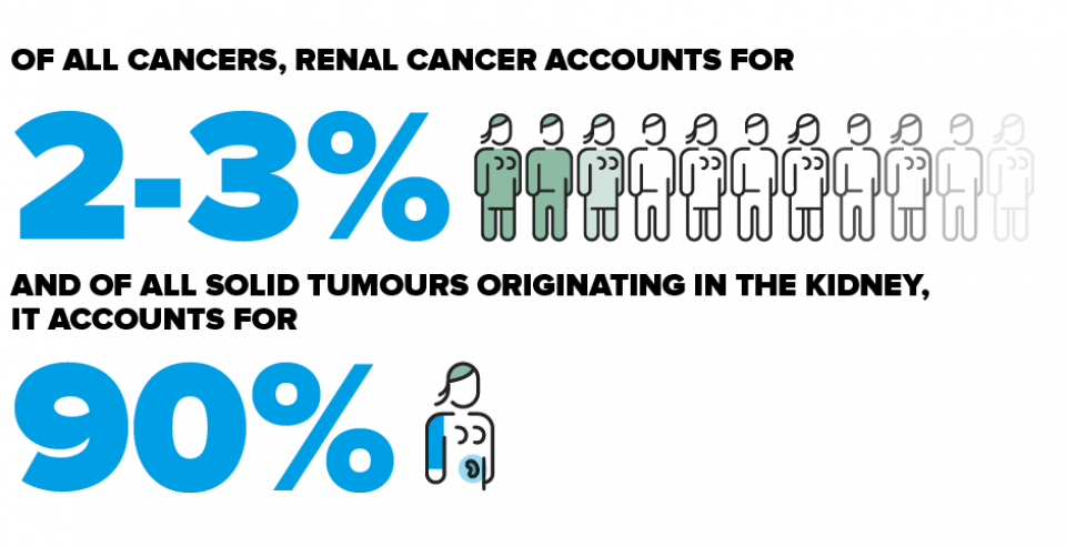 what-is-kidney-cancer-portalcl-nic