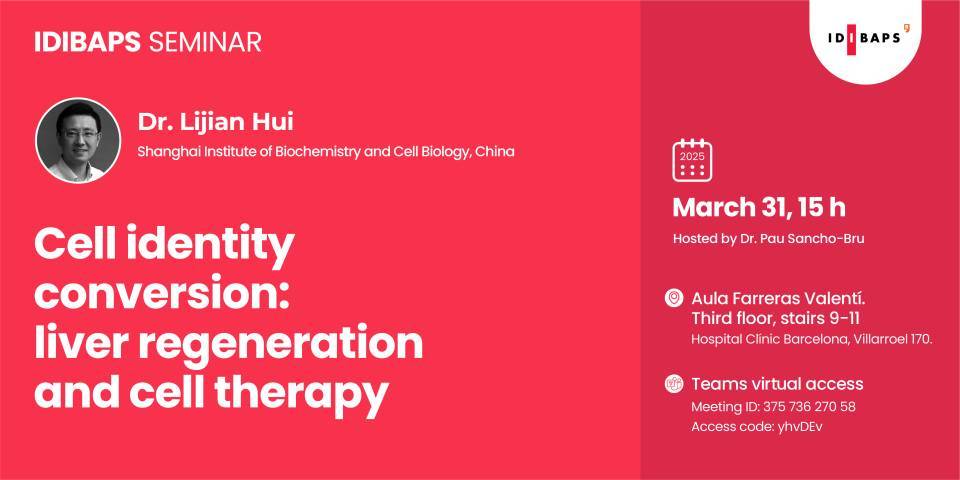 IDIBAPS SEMINAR: Cell identity conversion: liver regeneration and cell therapy