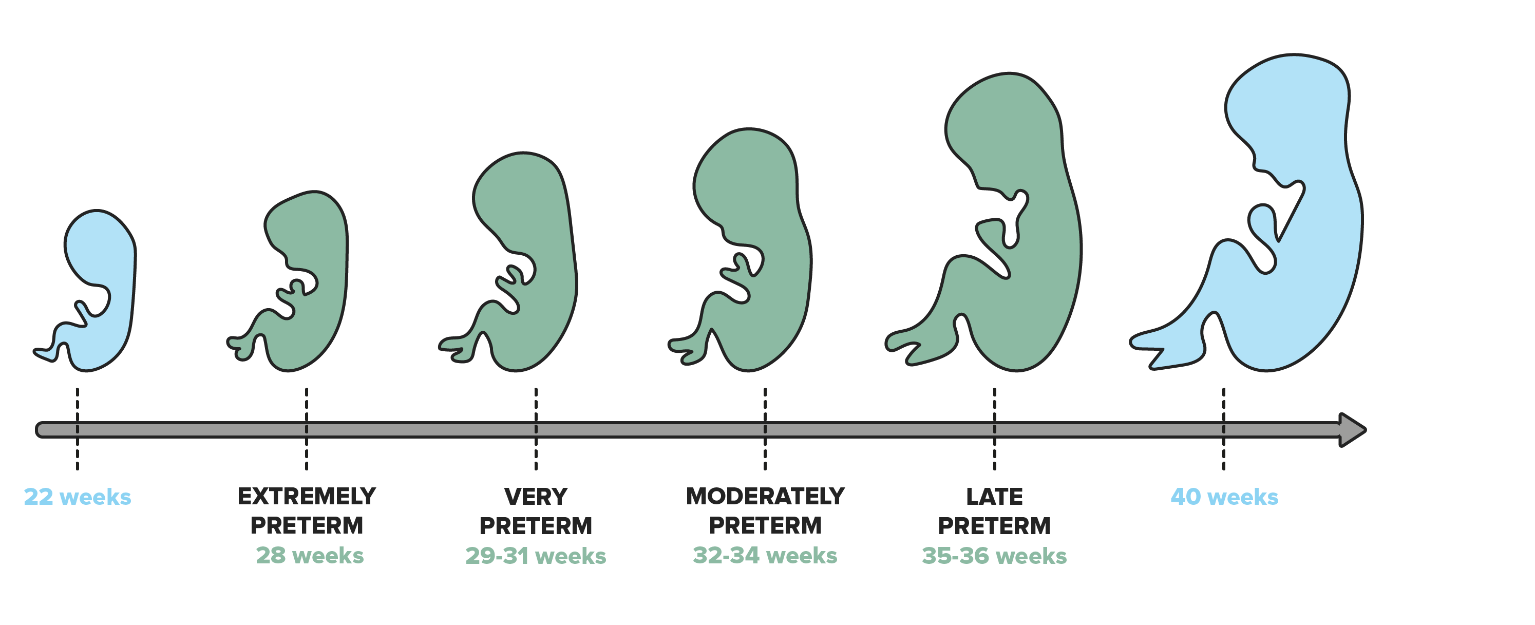 Premature Birth PortalCL NIC