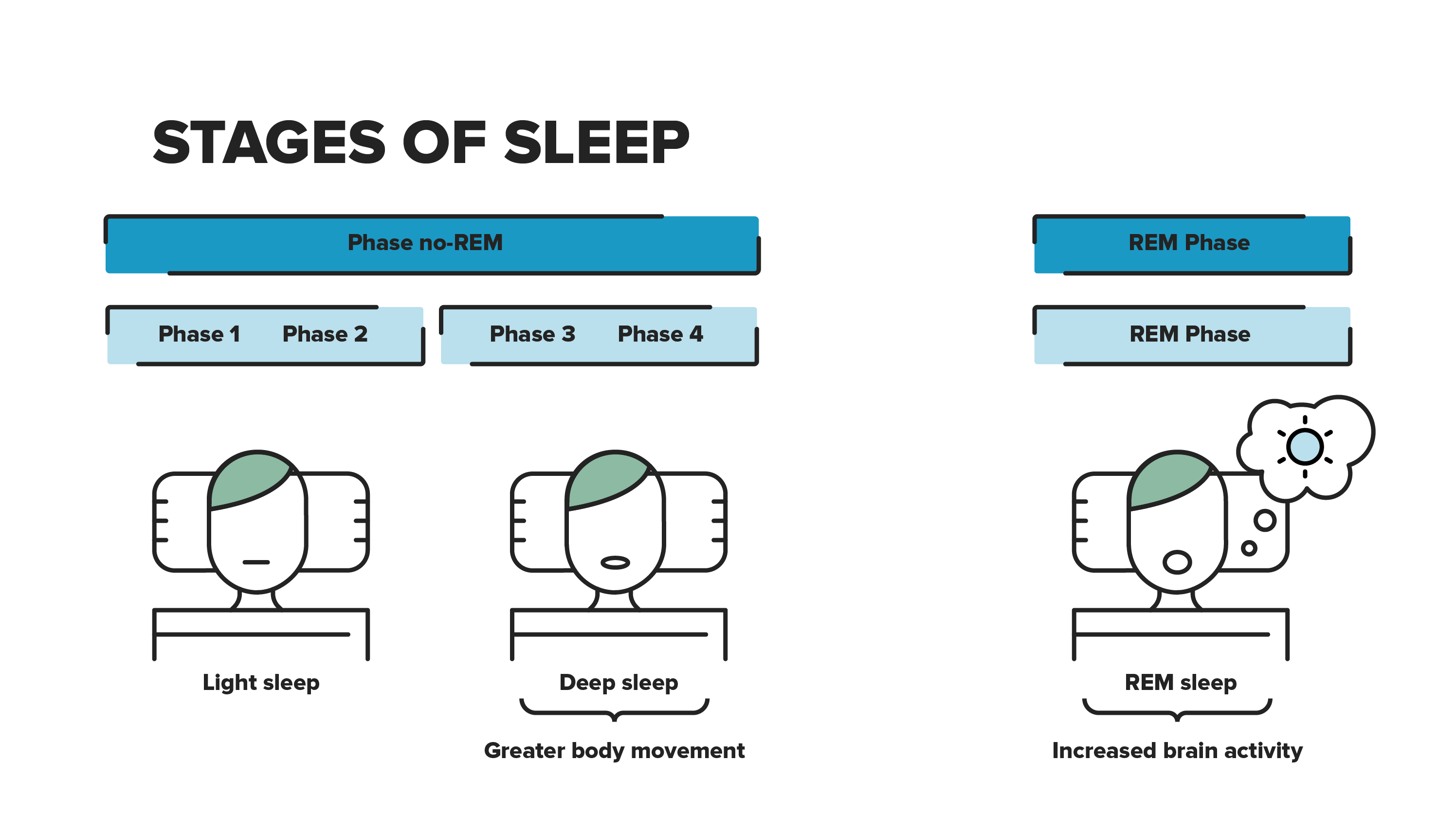 Stages Of Sleep | Hospital Clínic Barcelona