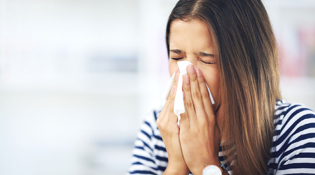 A Quick Guide To Surviving Allergies In Spring And Throughout The Year   8e77869db9323b0294ce860aaf9b3b9cd73f5e49 