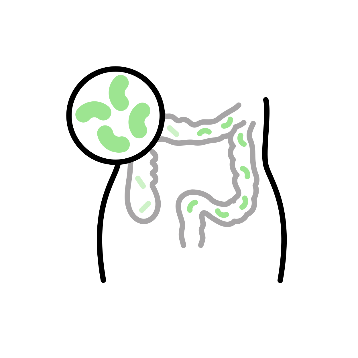 ¿qué Es El Trasplante De Microbiota Fecal? 